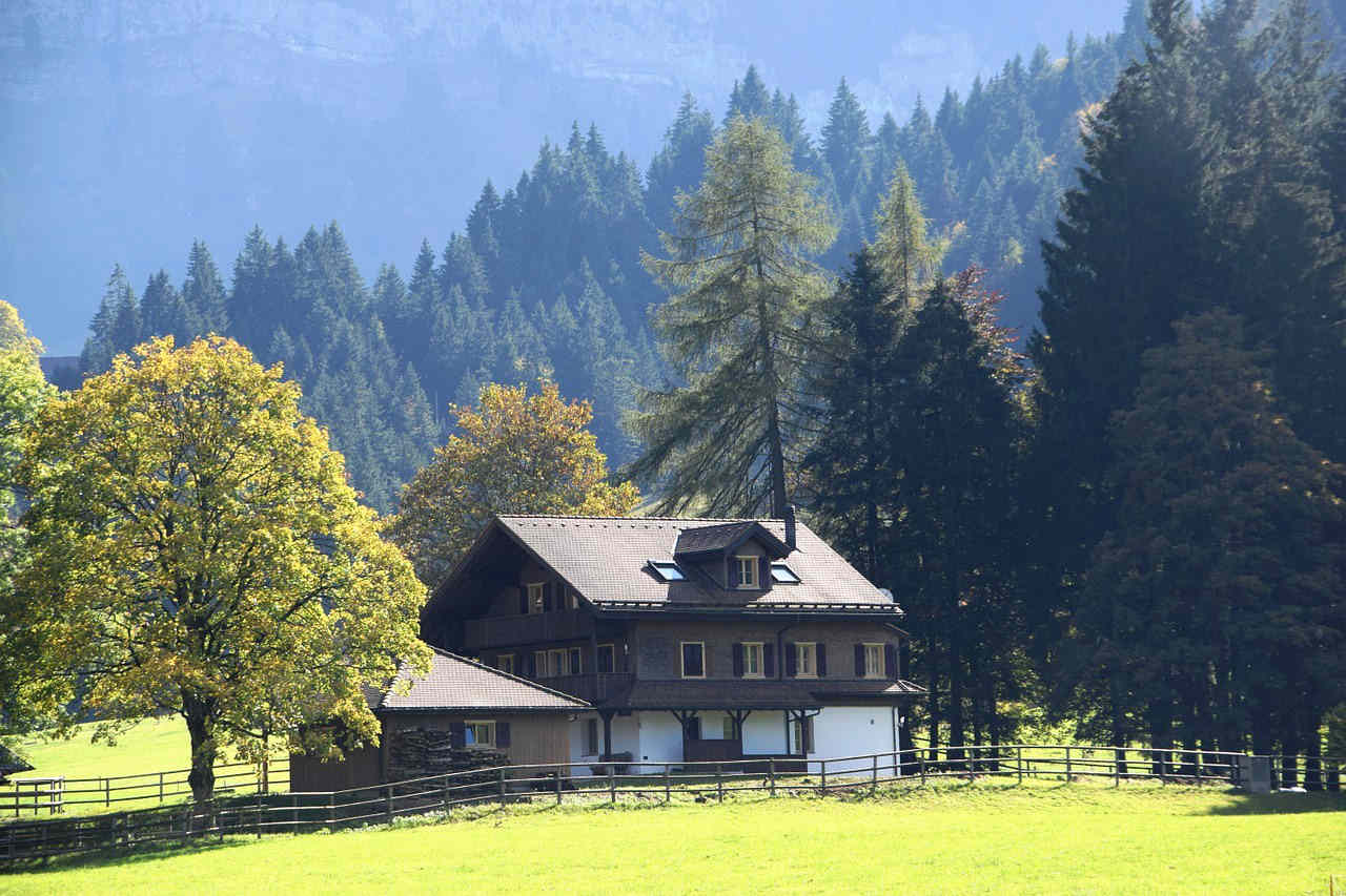 Ferienhaus-Bayern-Natur
